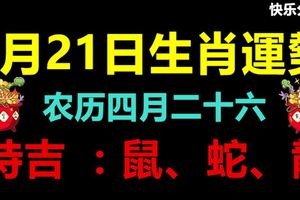 5月21日生肖運勢鼠、蛇、龍大吉