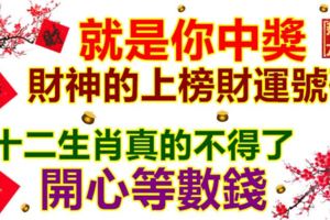 就是你中獎，財神的上榜財運號碼，開心等數錢，十二生肖真的不得了。要發財的記得留言518我要發。