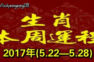 12生肖本周運程2017年(5.22—5.28)