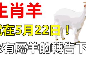 生肖羊，就在5月22日！會遇到「大麻煩」！家有屬羊的轉告下！