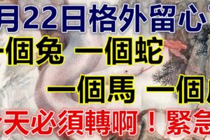 5月22日要格外留心了，一個兔，一個蛇，一個馬，一個虎！