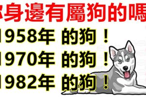 你身邊有屬狗的嗎？1958年，1970年，1982年的生肖狗，一生一世的命運！神准！