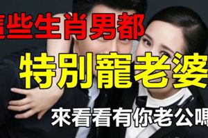 這些生肖男都特別寵老婆，來看看有你老公嗎？