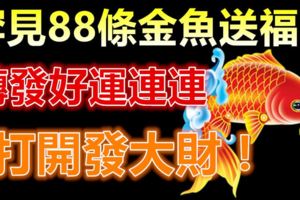 罕見88條金魚送福圖！這份祝福送給所有的朋友！好運連連！發大財！