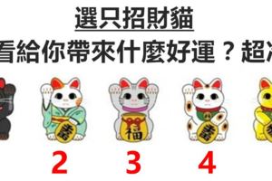 選只招財貓看看給你帶來什麼好運？超准！