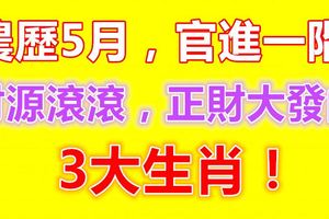 農歷5月，官進一階，財源滾滾，正財大發的3大生肖！