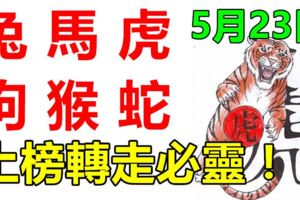 5月23日，生肖兔、馬、虎、狗、猴、蛇！上榜必靈！