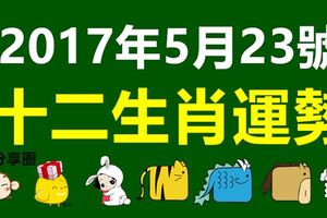 2017年5月23號十二生肖運勢早知道