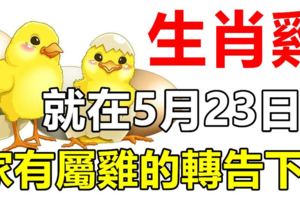 生肖雞，就在5月23日！會遇到「大麻煩」！家有屬雞的轉告下！