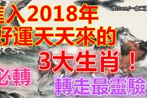 進入2018年好運天天來的3大生肖！轉走最靈驗！