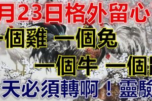 5月23日要格外留心了，一個雞，一個兔，一個牛，一個鼠！