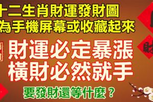 十二生肖手機發財圖，把財富帶在身上，錢包必定漲，褲袋塞滿錢。你的生肖是哪一圖？