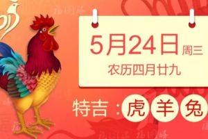 5月24日，12生肖運勢！生肖虎、羊、兔、雞、牛、鼠！