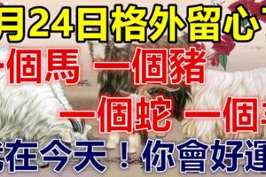 5月24日要格外留心了，一個馬，一個豬，一個蛇，一個羊！