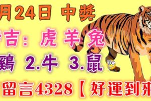 5月24日虎、羊、兔、雞、牛、鼠！中獎！請留言4328【好運到來】