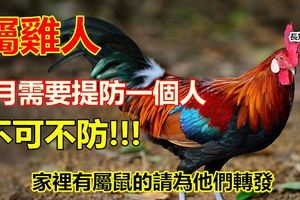 屬雞人：6月需要提防一個人，不可不防！別不信