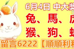 6月4日兔、馬、虎、猴、狗、蛇！中大獎！請留言6222【順順利利】