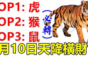 6月10日生肖運勢前三，天降橫財，買張彩票試試！