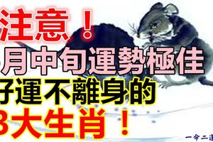 6月中旬運勢極佳，好運不離身的生肖！