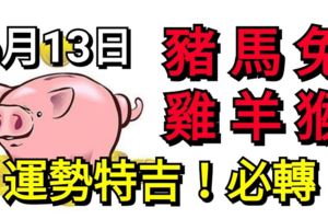 6月13日，生肖豬、馬、兔、雞、羊、猴！運勢特吉！