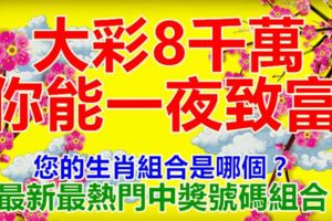 大彩8千萬，你能一夜致富。您的生肖組合是哪個？最新最熱門中獎號碼組合。