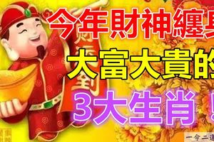 今年財神纏身，大富大貴的3大生肖！