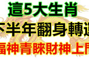 下半年翻身轉運，福神青睞財神上門，5大生肖生活步步高升！