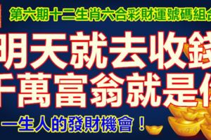 第六期十二生肖六合彩財運號碼組合。明天就去收錢，千萬富翁就是你！一生人的發財機會！