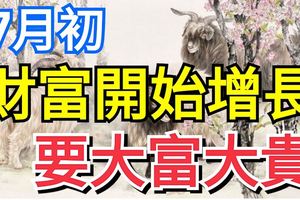 7月初，財富開始增長，要大富大貴的三個生肖