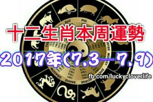 十二生肖本周運勢2017年(7.3—7.9)