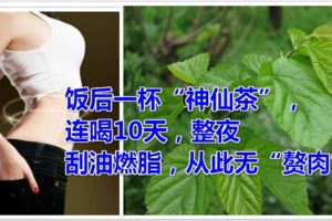 飯後一杯「神仙茶」，連喝10天，整夜刮油燃脂，從此無「贅肉」