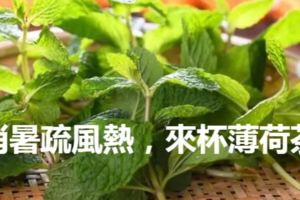 「食療藥膳」消暑疏風熱，來杯薄荷茶