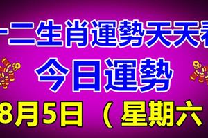 十二生肖運勢天天看，今日運勢：8月5日