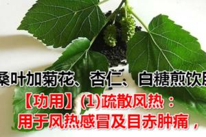 桑葉都有哪些好處？【功用】(1)疏散風熱：用於風熱感冒及目赤腫痛，常配菊花