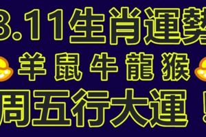 八月十一日生肖運勢：羊、鼠、牛、龍、猴，周五行大運！