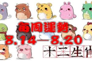 每周運勢提前報8.14—8.20