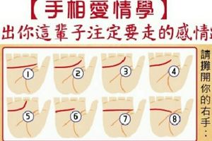 【手相愛情學】看出你這輩子註定要走出的感情路！