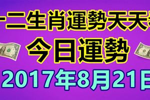 十二生肖運勢天天看，今日運勢：8月21日