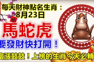 每天財神點名生肖：8月23日。馬蛇虎。要發財快打開！財富漲鼓鼓！上榜的生肖今天必轉！