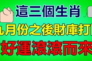 這三個生肖九月份之後財庫打開，好運滾滾而來