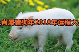 生肖屬豬狗年2018年運程大全