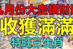 九月份大走橫財運，收獲滿滿的3大生肖