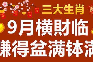 9月橫財臨門，賺得盆滿缽滿的3大生肖