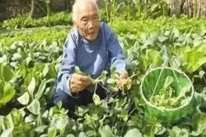 102歲老人30歲的器官，到底是怎麼做到的？