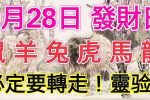 9月28日！屬鼠、羊、兔、虎、馬、龍的人必轉！真的靈！