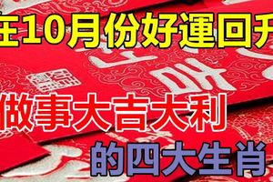 在10月份好運回升,做事大吉大利的四大生肖！