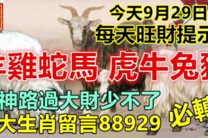 今天9月29日，每天旺財提示：羊雞蛇馬，虎牛兔豬。財神路過大財少不了！八大生肖留言88929必轉！