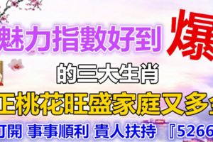 魅力指數好到爆的三大生肖，正桃花旺盛家庭又多金，打開旺財旺福正桃花，打開事事順利貴人扶持『52666』