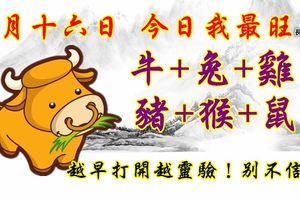 十月十六日，今日我最旺！牛+兔+雞+豬+猴+鼠！越早打開越靈驗！別不信！