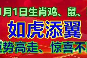 11月1日生肖雞、鼠、猴如虎添翼、運勢高走、驚喜不斷！